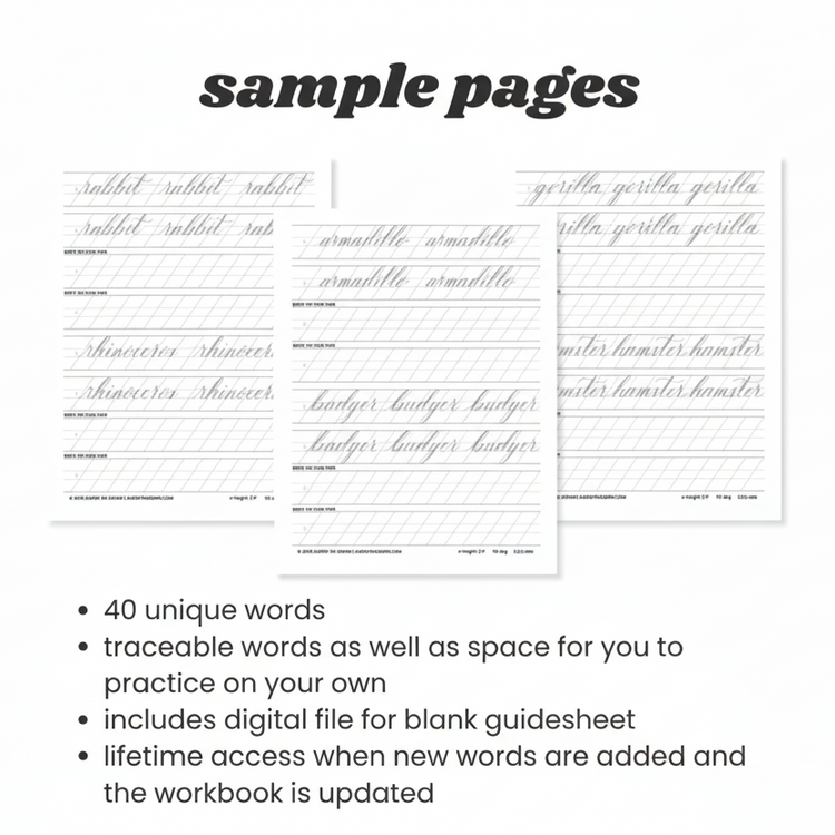 animal words-brush calligraphy practice workbook