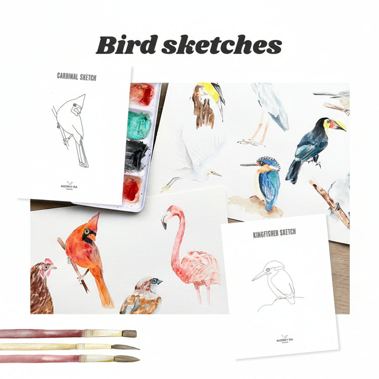 12 Bird Sketches