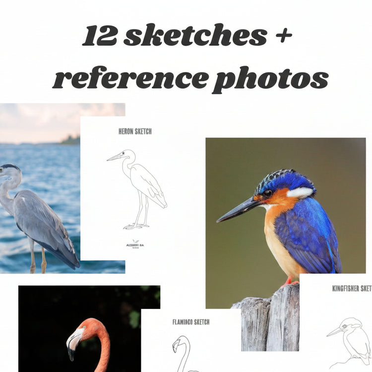 12 Bird Sketches