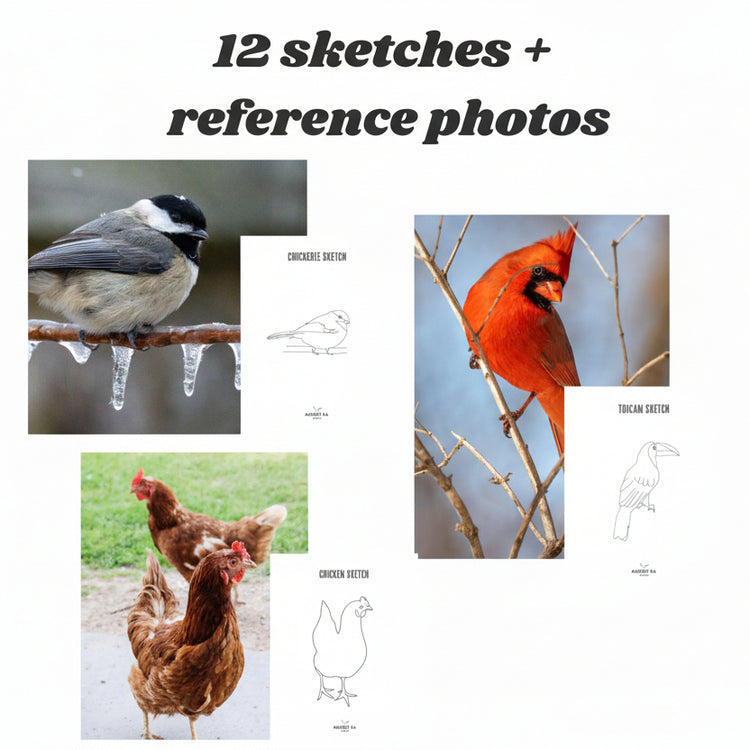 12 Bird Sketches