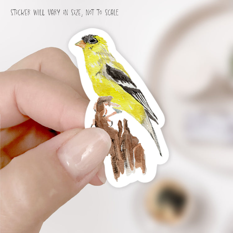 birds stickers
