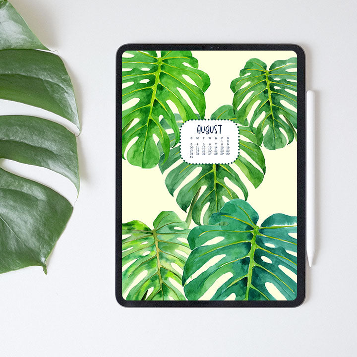 august 2025 digital wallpaper freebie