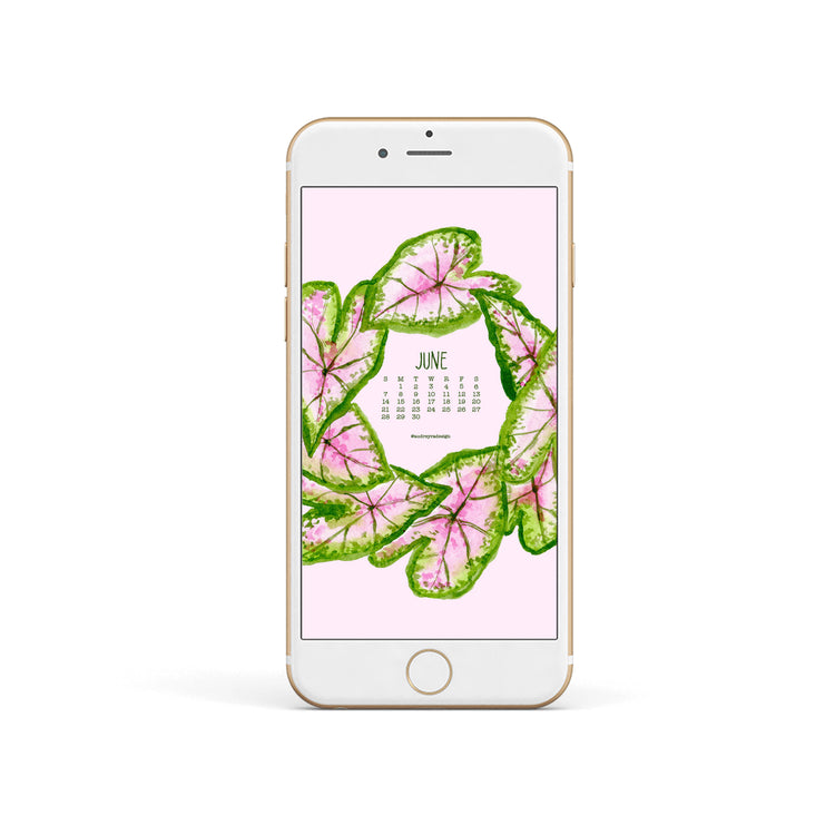 june 2026 digital wallpaper freebie