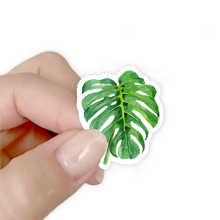 monstera deliciosa sticker