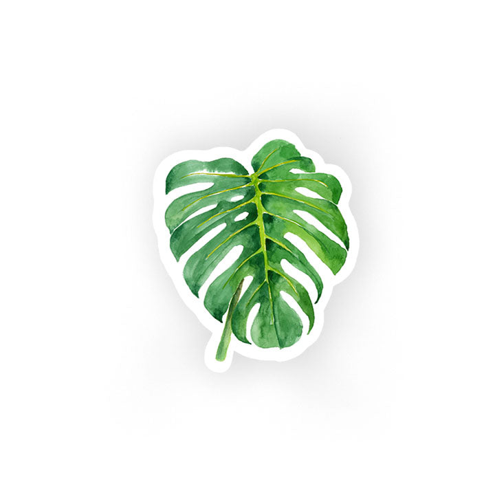 monstera deliciosa sticker