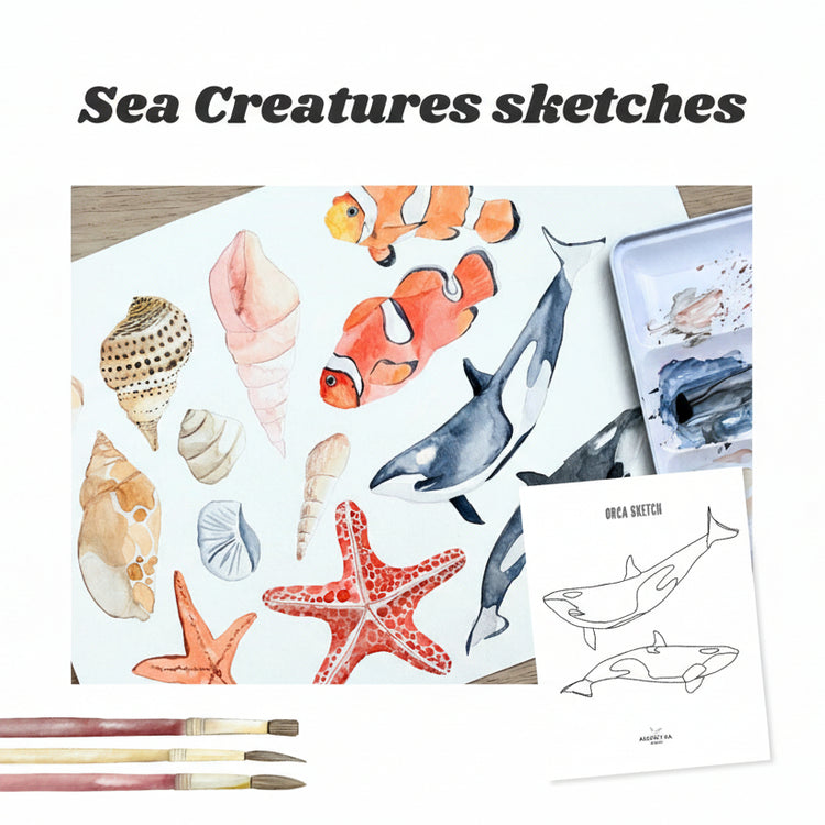 16 Sea Creatures Sketches