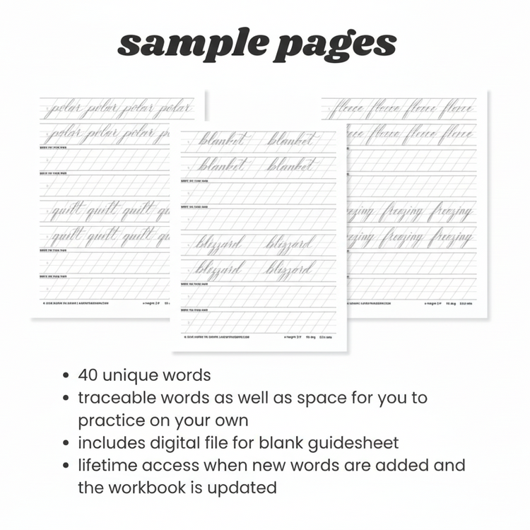 winter words-brush calligraphy practice workbook