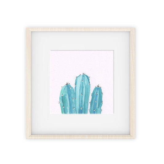cacti & succulents