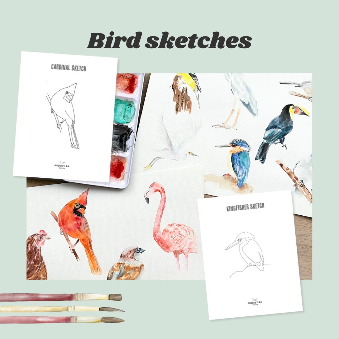 12 Bird Sketches