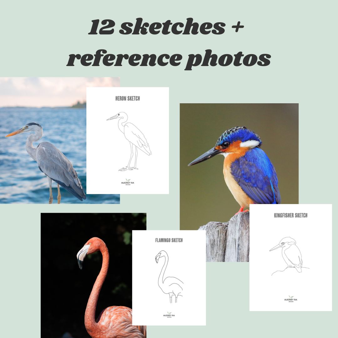 12 Bird Sketches