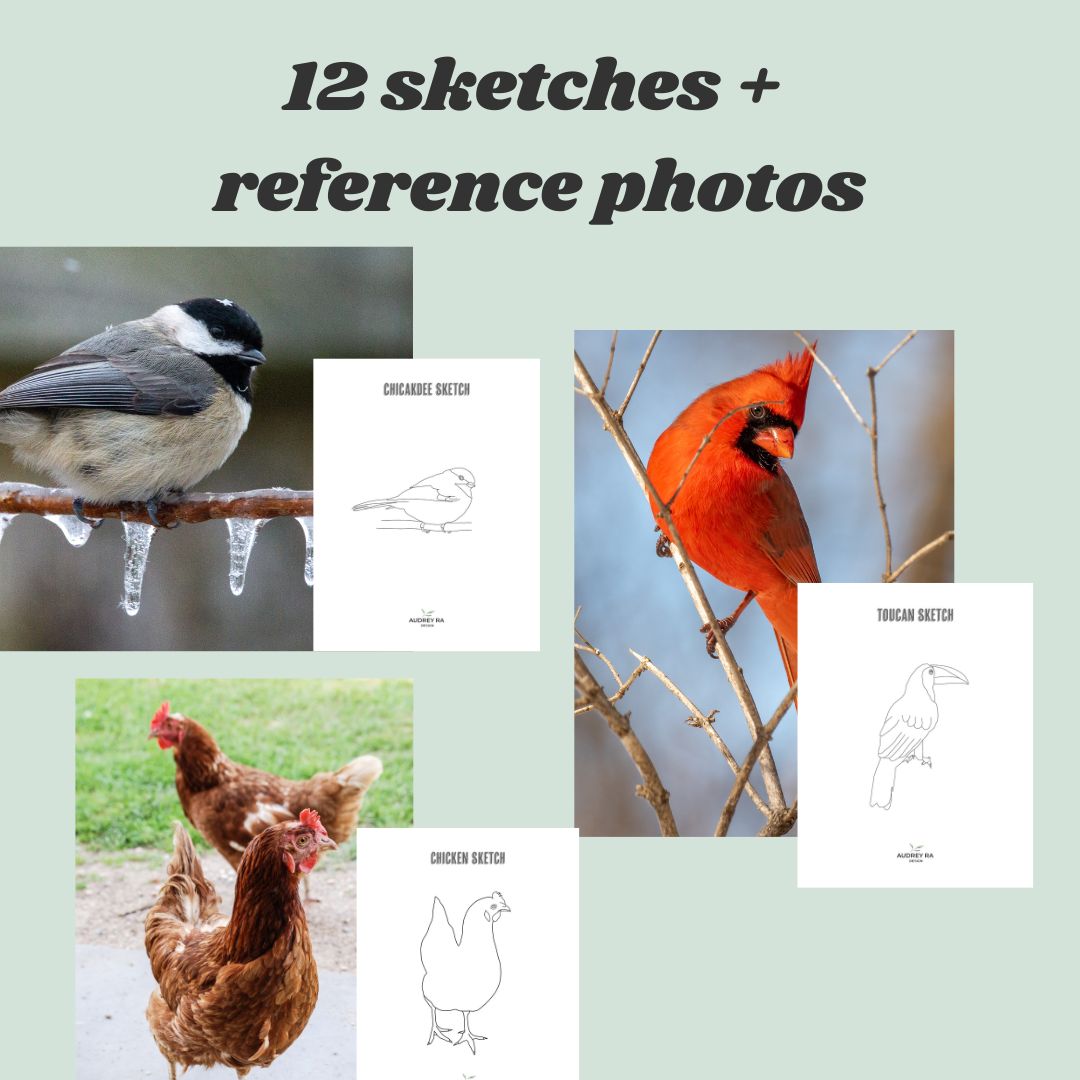 12 Bird Sketches