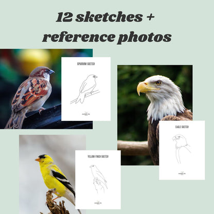 12 Bird Sketches