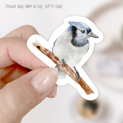 birds stickers