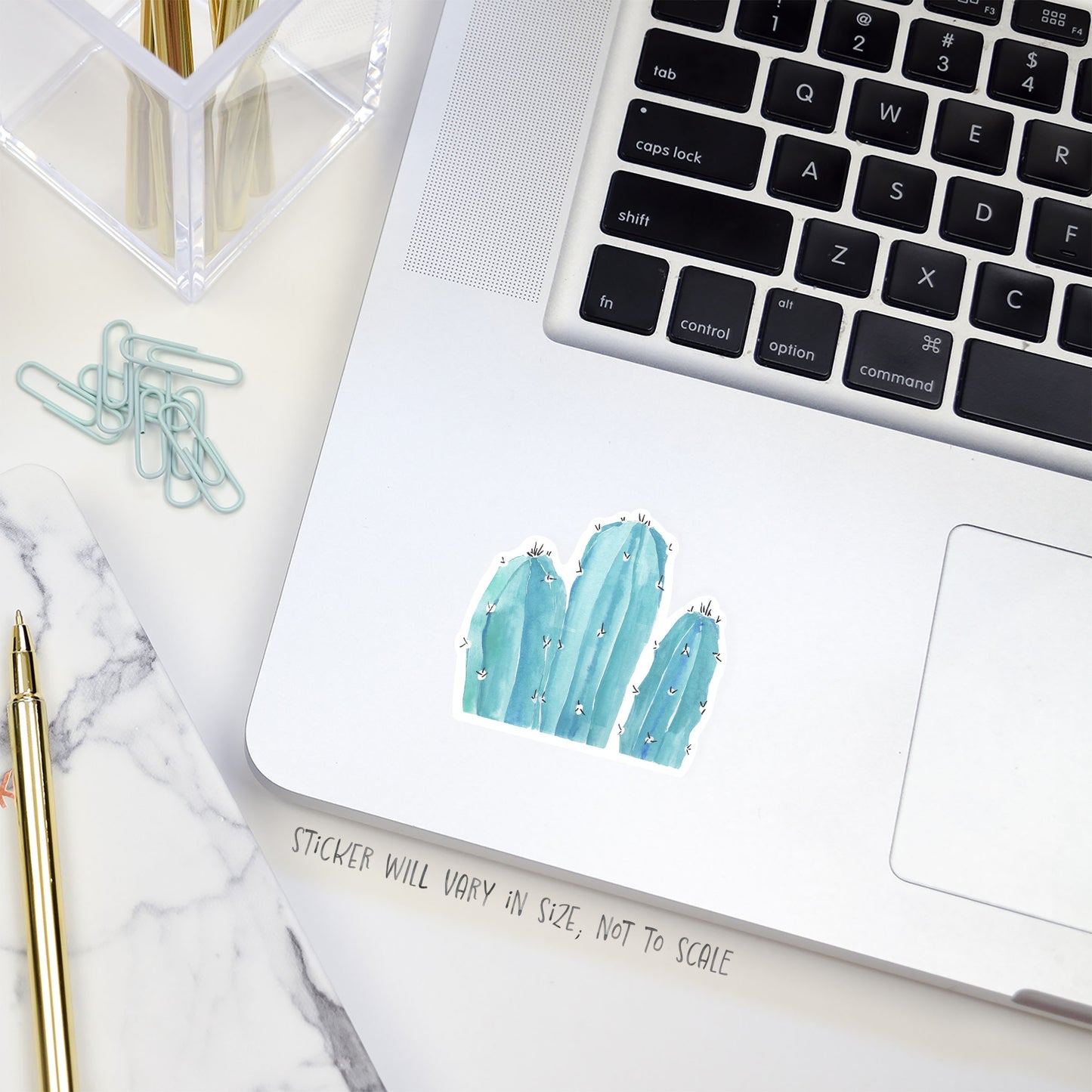 blue myrtle cactus sticker