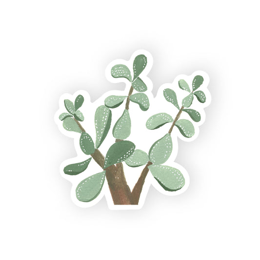 jade plant sticker
