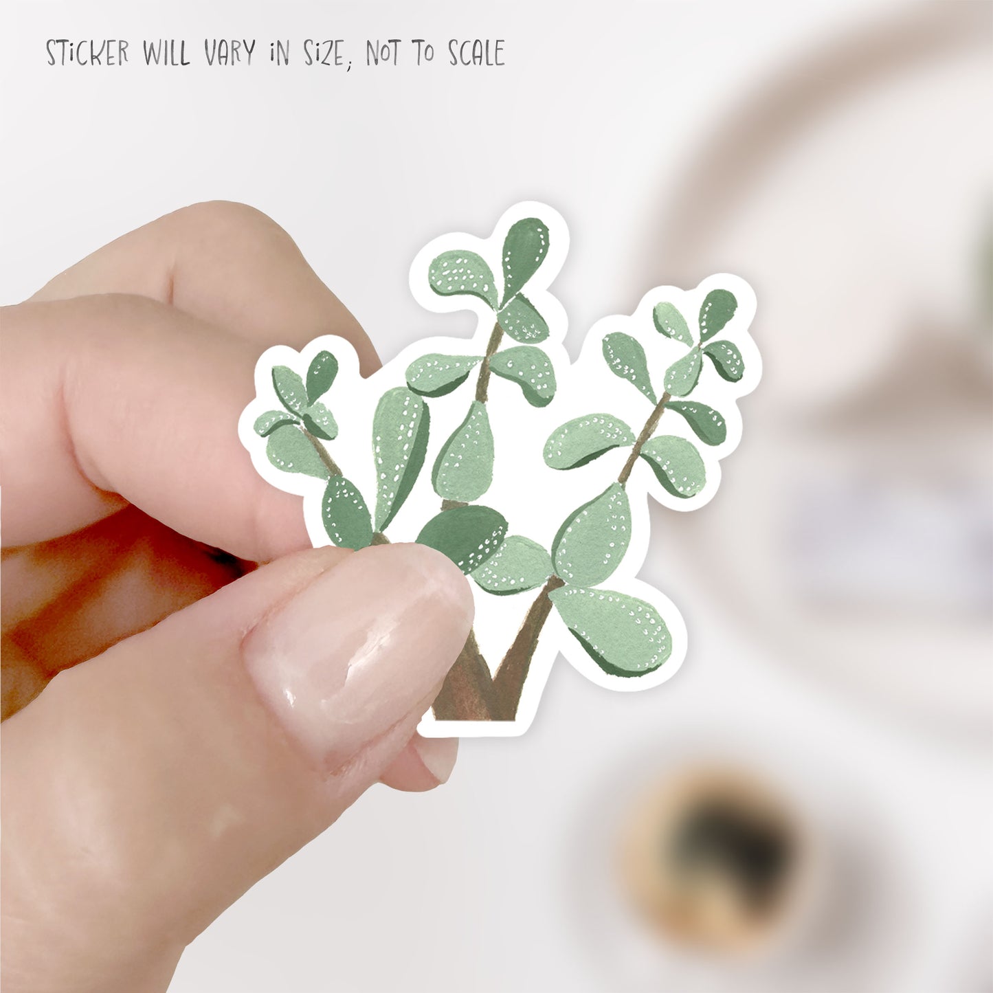 jade plant sticker