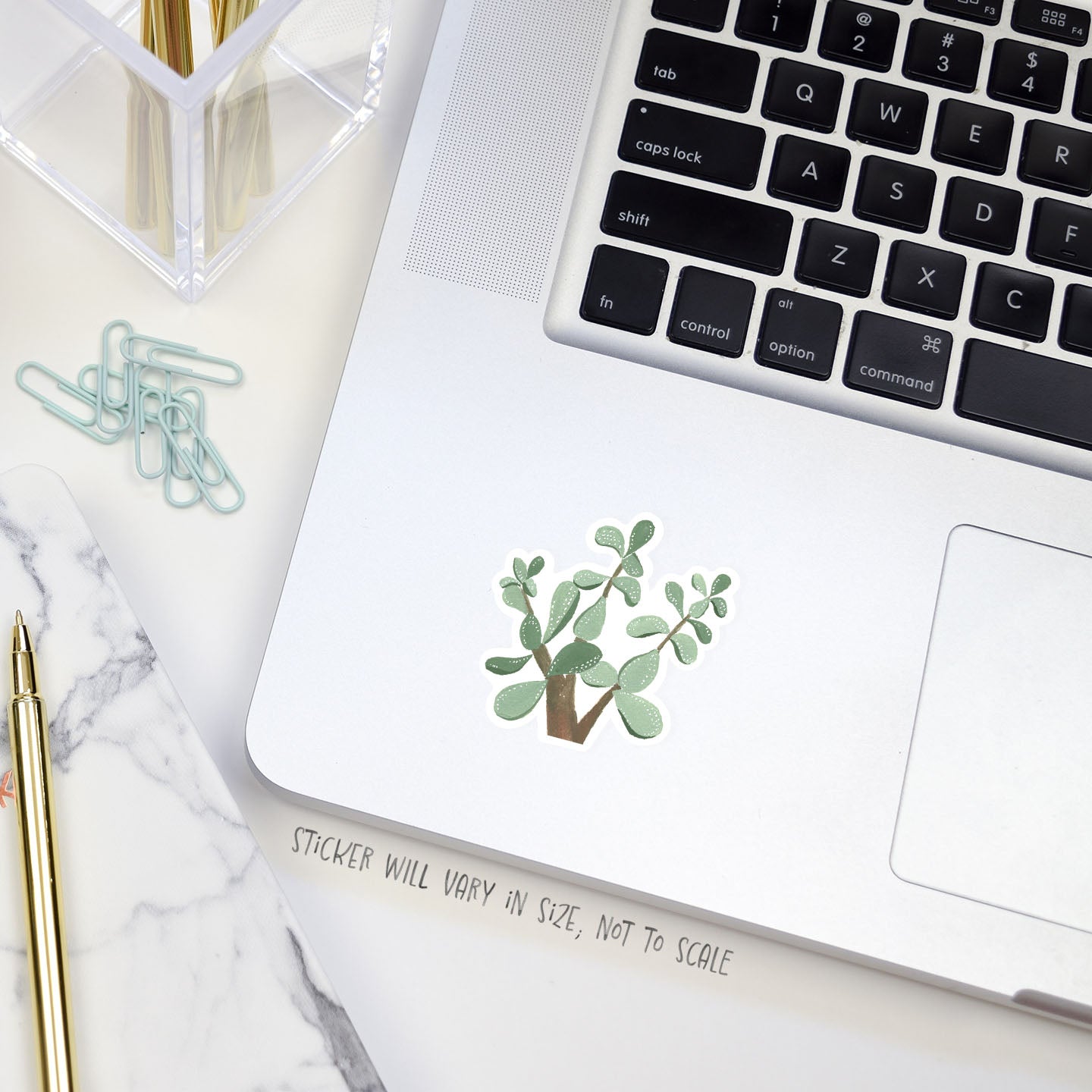 jade plant sticker