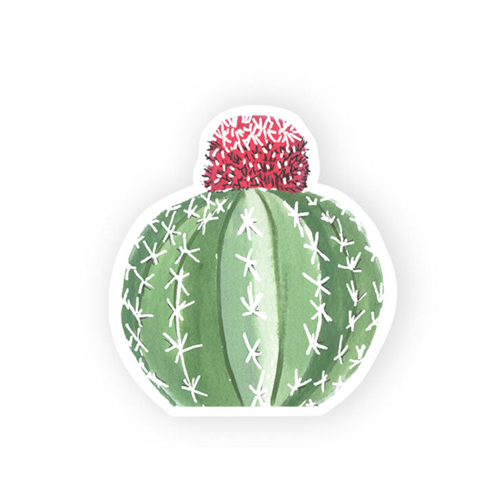 melon cactus sticker