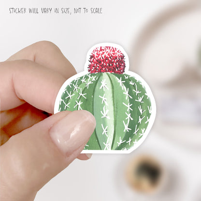 melon cactus sticker