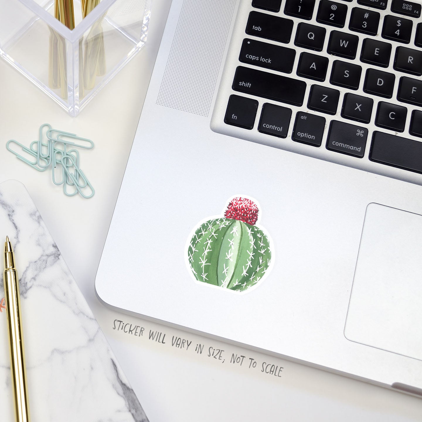 melon cactus sticker