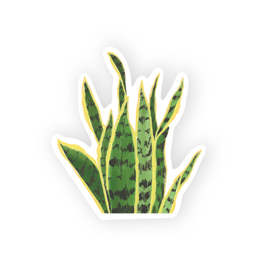 snake plant sticker