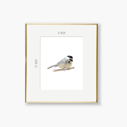 chickadee art print