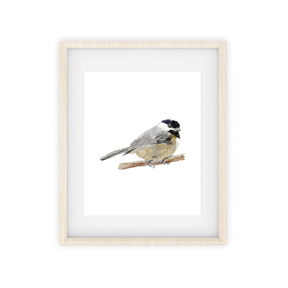 chickadee art print