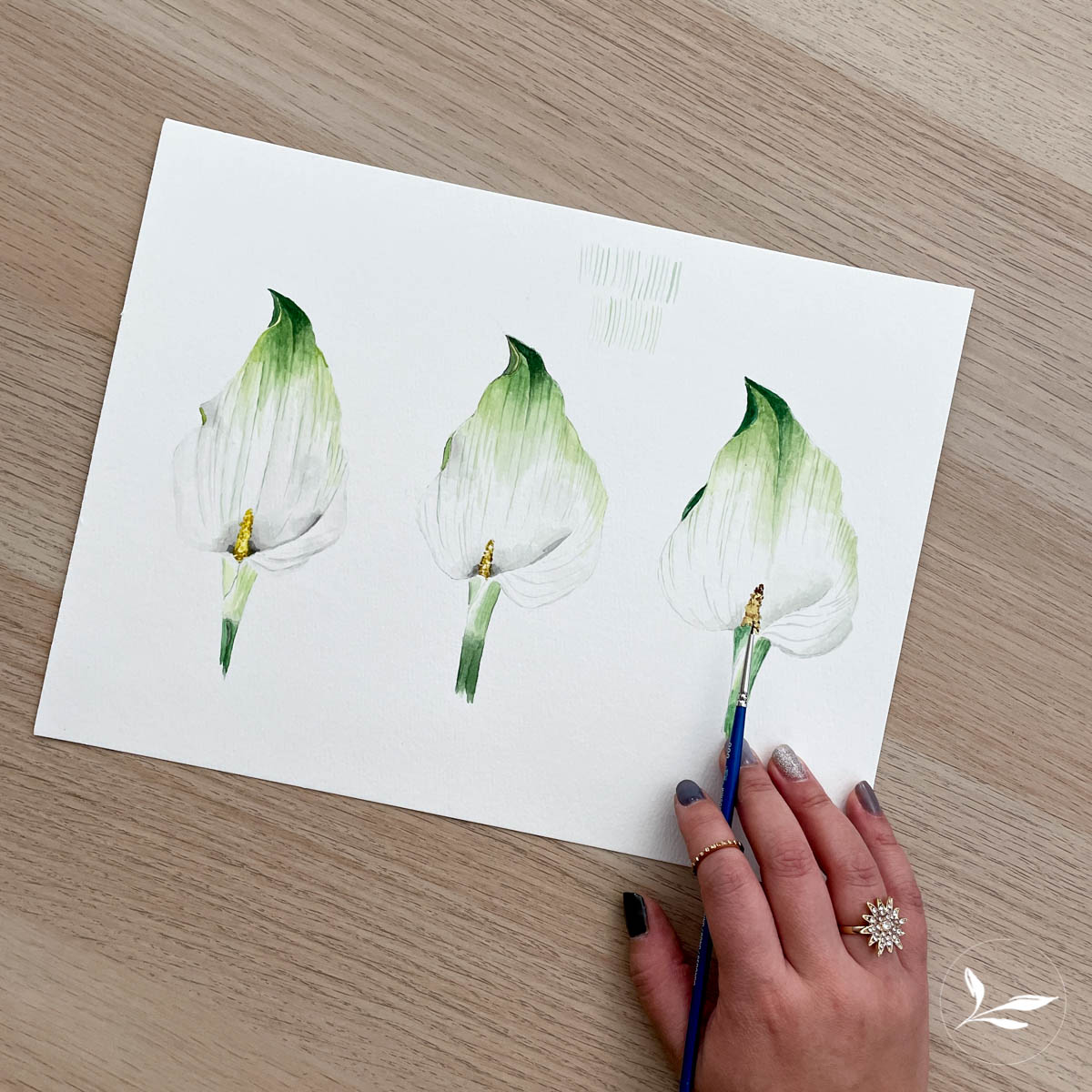 how to paint: watercolor calla lily