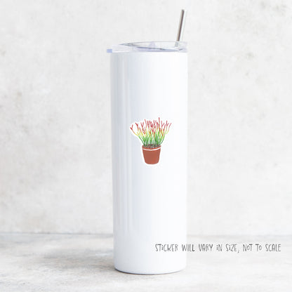 firestick pencil cactus sticker