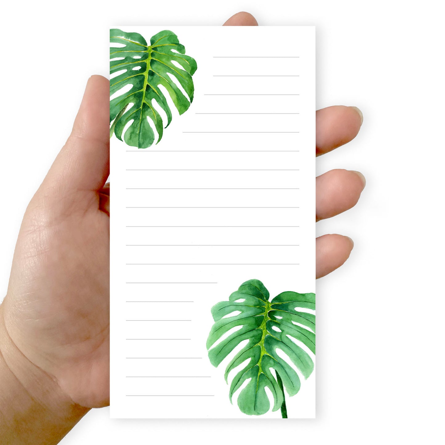 monstera notepad