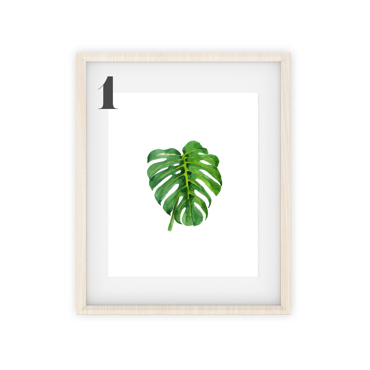 monstera art prints