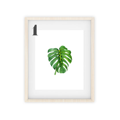 monstera art prints