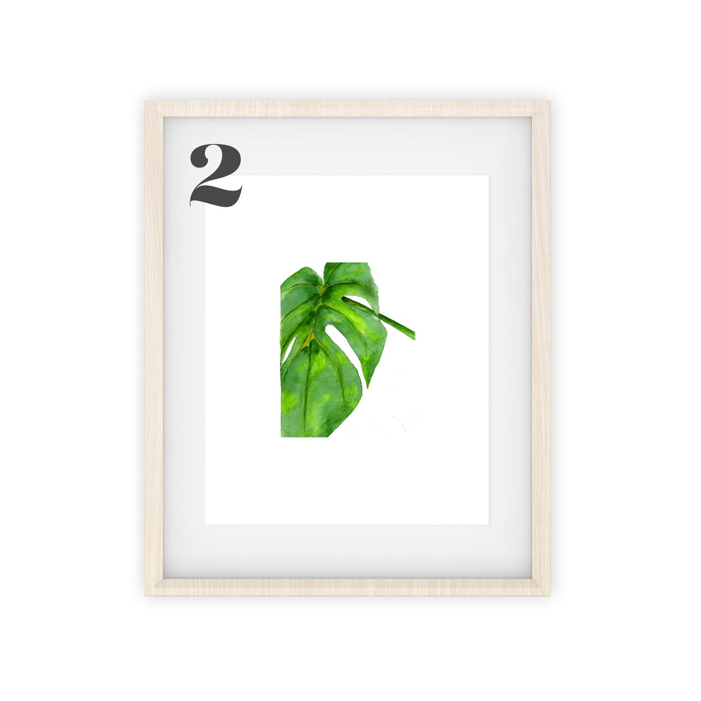 monstera art prints