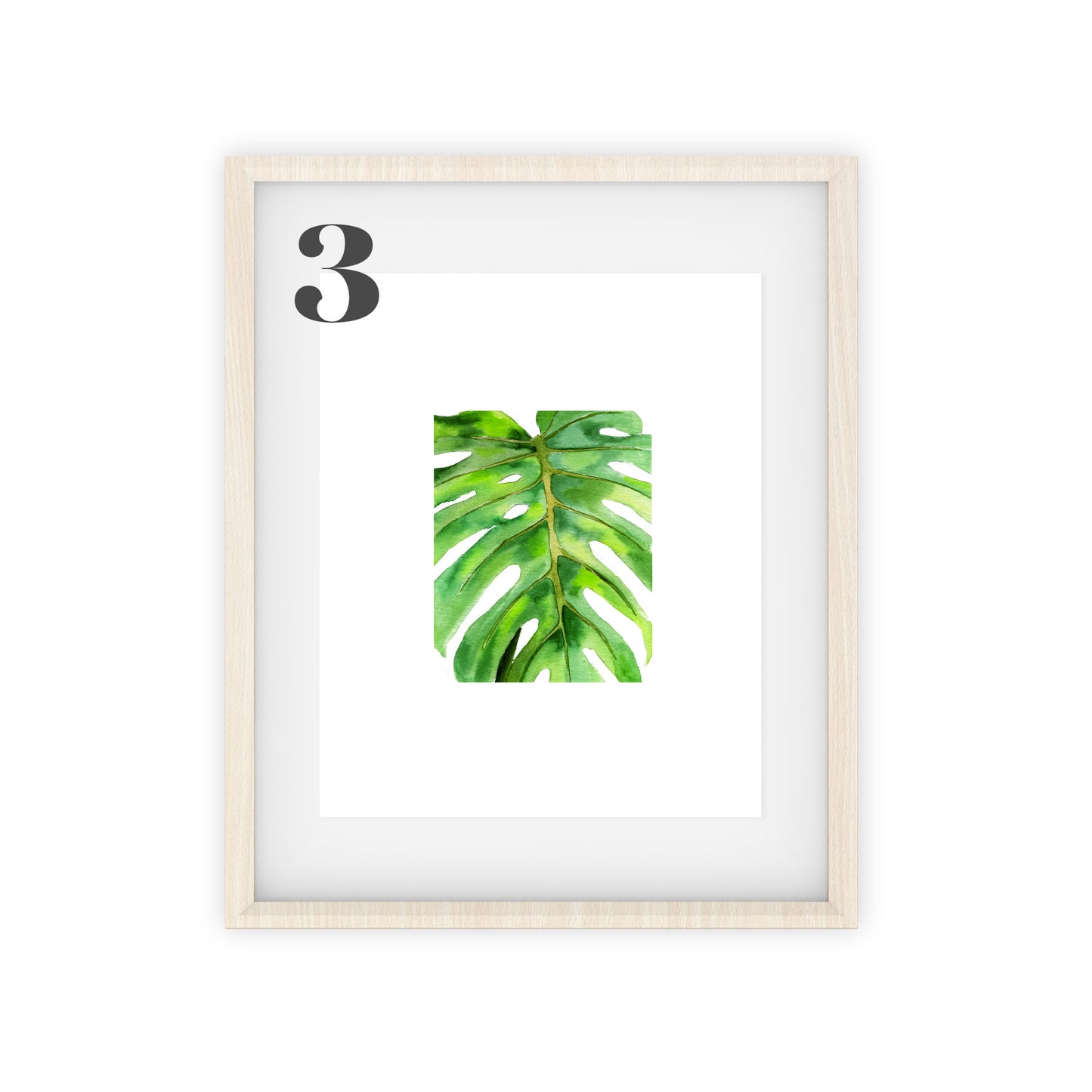 monstera art prints