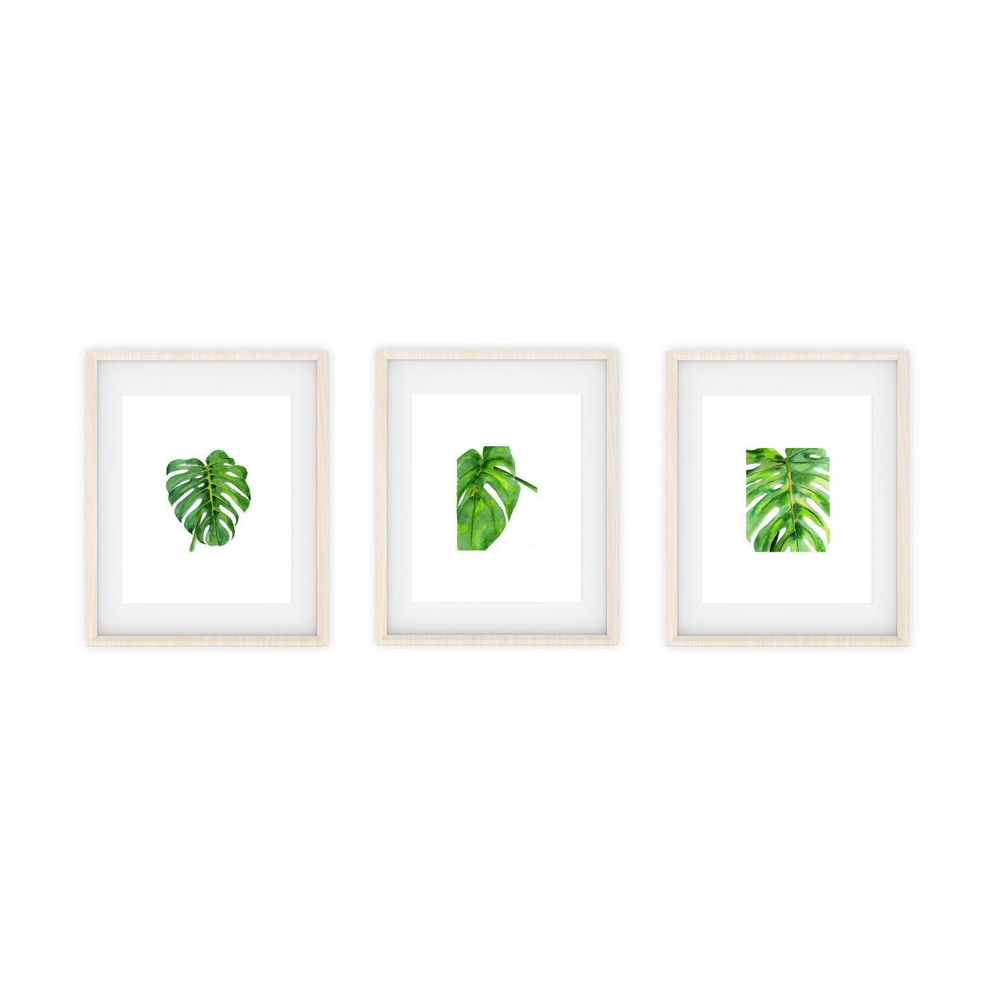 monstera art prints