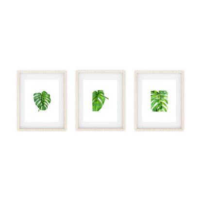 monstera art prints