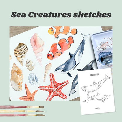 16 Sea Creatures Sketches