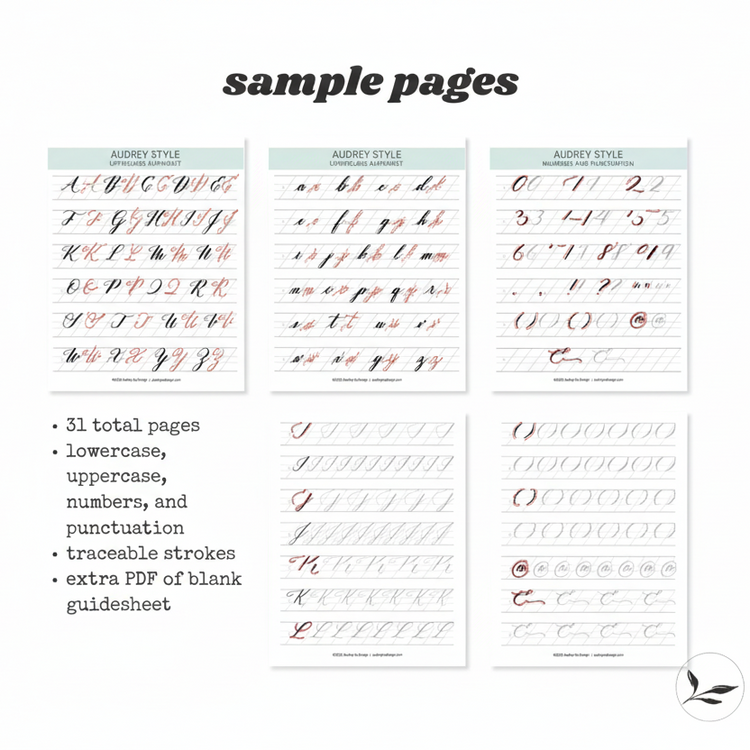 brush calligraphy workbook (digital download only)