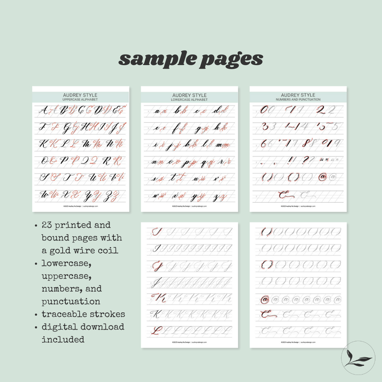 brush calligraphy workbook (physical)