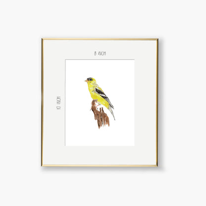 yellow finch art print