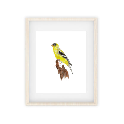 yellow finch art print